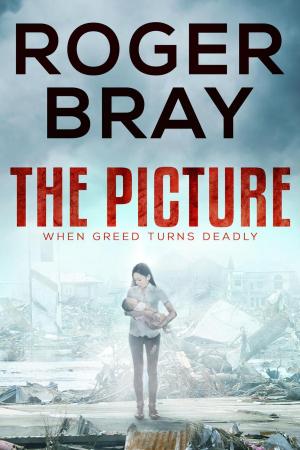 bigCover of the book The Picture by 