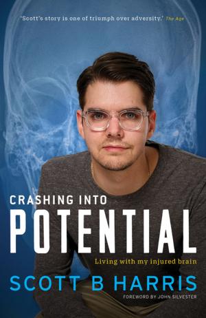 Cover of the book Crashing Into Potential by Herlander Elias