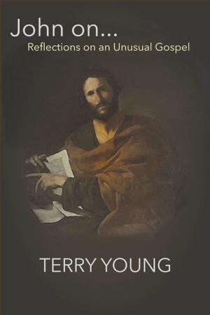 Cover of the book John On… by Armando J. Levoratti