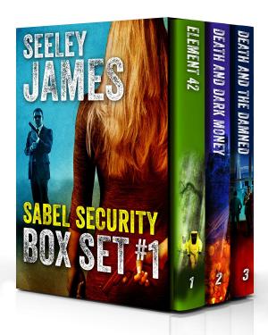 Cover of the book Sabel Security Boxed Set, Books 1-3 by Roy Jackaman