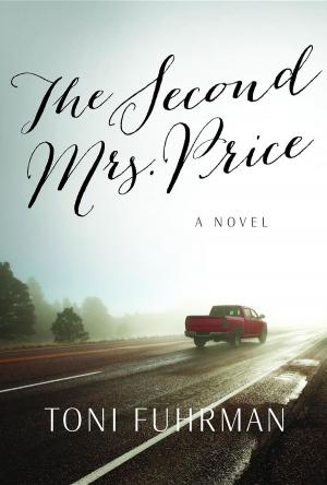 Cover of the book The Second Mrs. Price by Stephanie Kepke