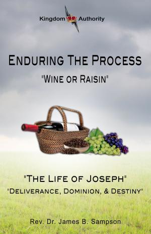 Book cover of Enduring the Process