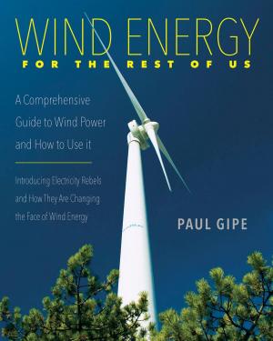 Cover of the book Wind Energy for the Rest of Us by Debra Schneller