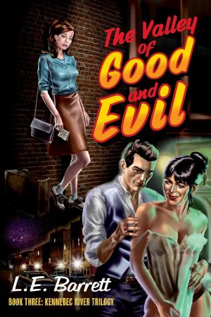 Cover of the book The Valley of Good and Evil by Dave Lynch