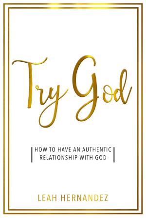 Cover of the book Try God by David Leis