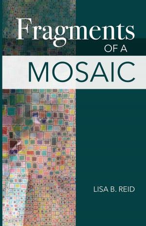 Cover of the book Fragments Of A Mosaic by J. C.. Faris