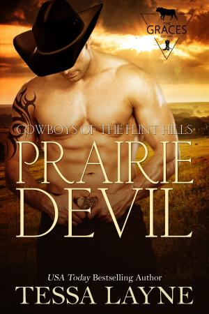 Cover of the book Prairie Devil by Monica Barrie