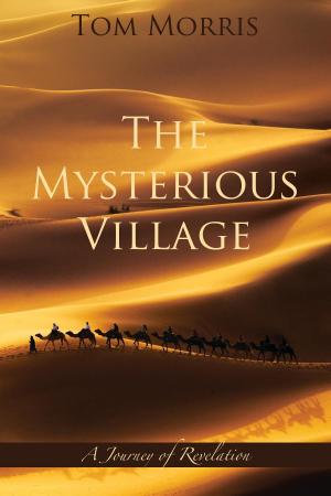 Book cover of The Mysterious Village