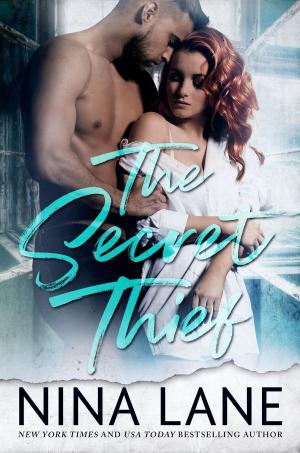 Cover of the book The Secret Thief by Erin Lancaster