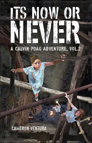 bigCover of the book Its Now or Never by 
