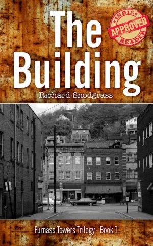 Book cover of The Building