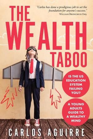 Book cover of The Wealth Taboo