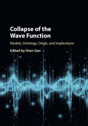 Cover of the book Collapse of the Wave Function by Mario Sznajder, Luis Roniger