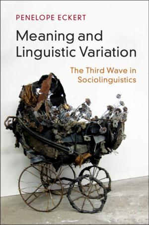 Cover of the book Meaning and Linguistic Variation by 
