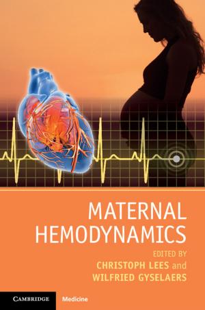 Cover of the book Maternal Hemodynamics by Professor Cecile Esther Kuznitz