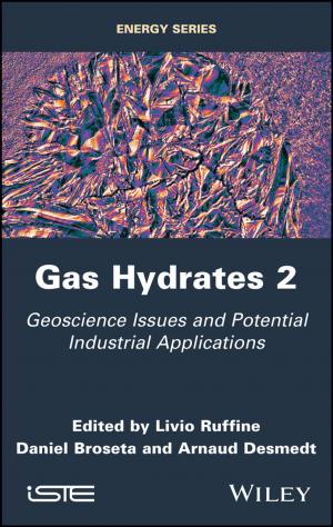 Cover of the book Gas Hydrates 2 by John M. Vance, Fouad Y. Zeidan, Brian G. Murphy