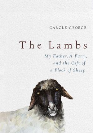 Cover of the book The Lambs by Turk Pipkin