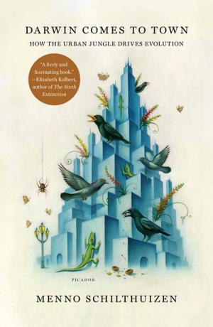 Cover of the book Darwin Comes to Town by Deborah Campbell