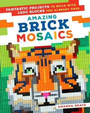 Book cover of Amazing Brick Mosaics