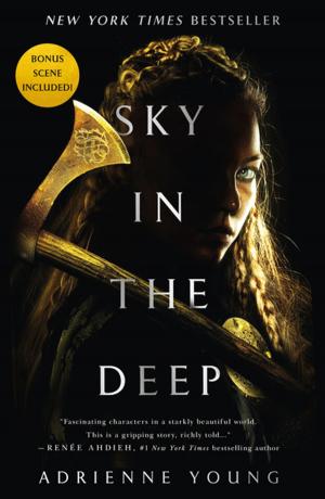Cover of the book Sky in the Deep by Kathy Braidhill