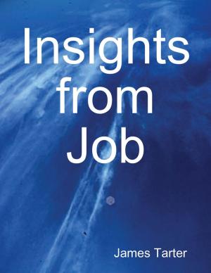 Cover of the book Insights from Job by Adam Miller