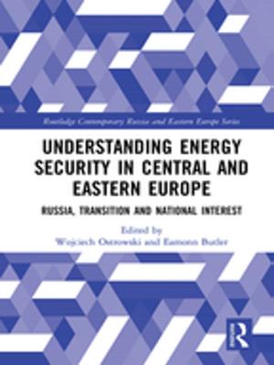 Cover of the book Understanding Energy Security in Central and Eastern Europe by Owen Crankshaw
