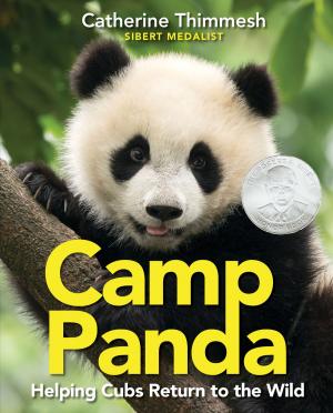 Cover of the book Camp Panda by Davide Cali, Yannick Robert
