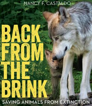 Cover of the book Back from the Brink by Mei Li Robinson
