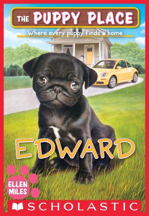 Cover of the book Edward (The Puppy Place #49) by Brian Selznick