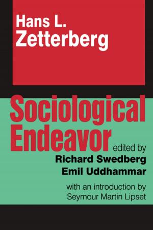 Cover of the book Sociological Endeavor by Edward J. Ahearn