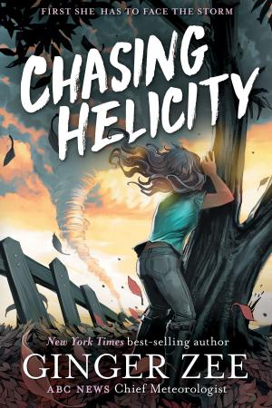 Cover of the book Chasing Helicity by Lucasfilm Press