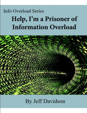 Book cover of Help, I’m a Prisoner of Information Overload