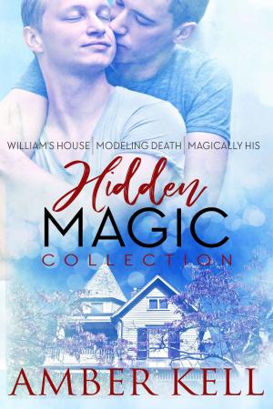 Cover of the book Hidden Magic by Amber Kell