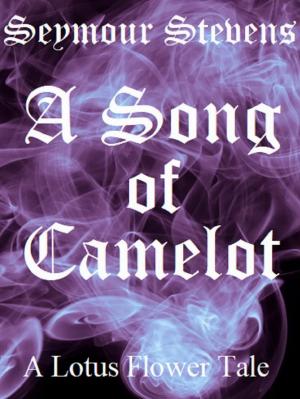 Cover of the book A Song of Camelot by Hope Ann
