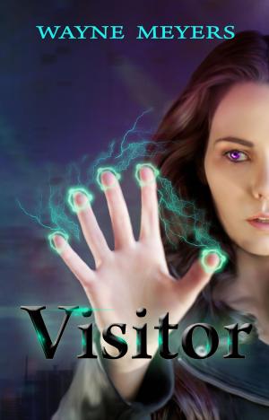 Cover of the book Visitor by Виктор Чирков