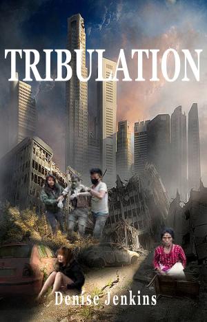 Cover of the book Tribulation by M.R. Barnsley