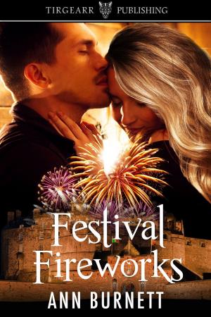 Cover of the book Festival Fireworks by Glenys O'Connell