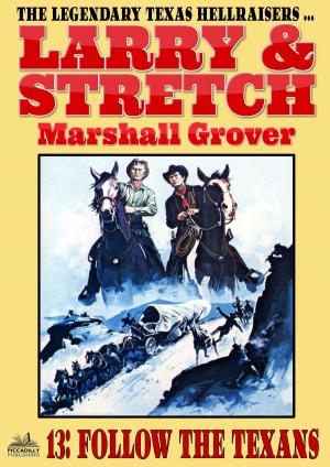 Cover of the book Larry and Stretch 13: Follow the Texans by Patrick E. Andrews