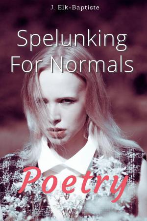 Cover of the book Spelunking For Normals by J. Elk-Baptisté