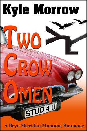 Cover of the book Two Crow Omen by Amy Sanderson