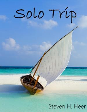 bigCover of the book Solo Trip by 