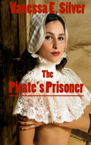 Cover of the book The Pirate’s Prisoner by Vanessa  E. Silver