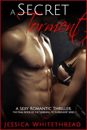 bigCover of the book A Secret Torment (Learning to Surrender Series) by 