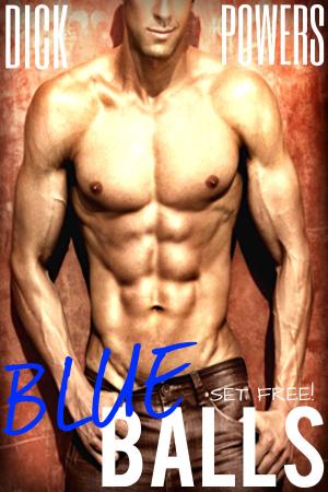 Book cover of Blue Balls