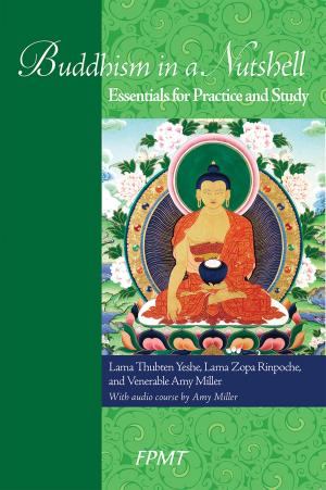 Book cover of Buddhism in a Nutshell eBook