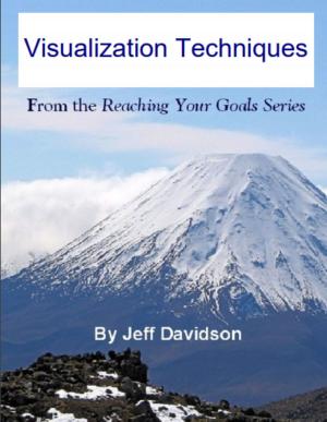 Book cover of Visualization Techniques