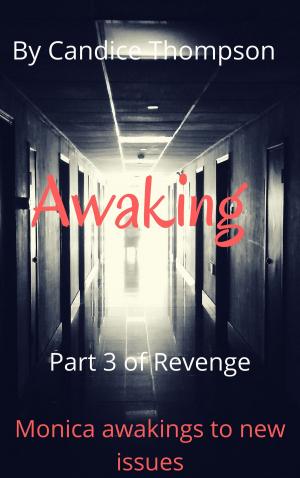 Cover of the book Awaking by Walter Lazo
