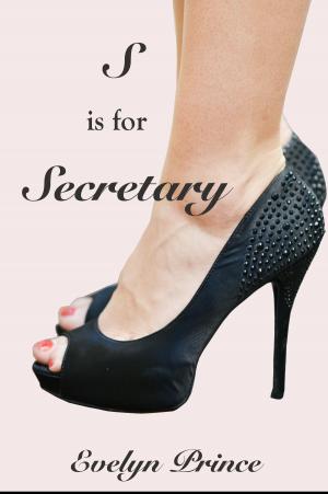 Cover of the book S is for Secretary by R.R. Morgan
