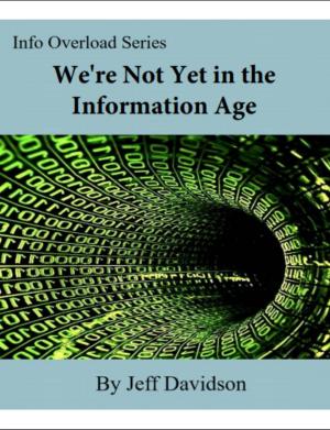 Cover of the book We're Not Yet in the Information Age by Jeff Davidson