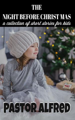Cover of The Night Before Christmas: A Collection Of Short Stories For Kids